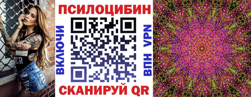 Псилоцибиновые грибы Cubensis  Таганрог 