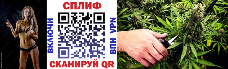 Шишки марихуана конопля  магазин  наркотиков  kraken рабочий сайт  Таганрог 